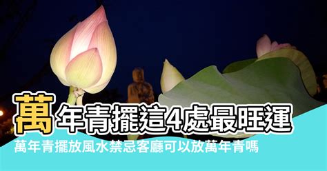 萬年青風水禁忌|萬年青擺放風水禁忌：怎樣擺放才能招財進寶？【萬年。